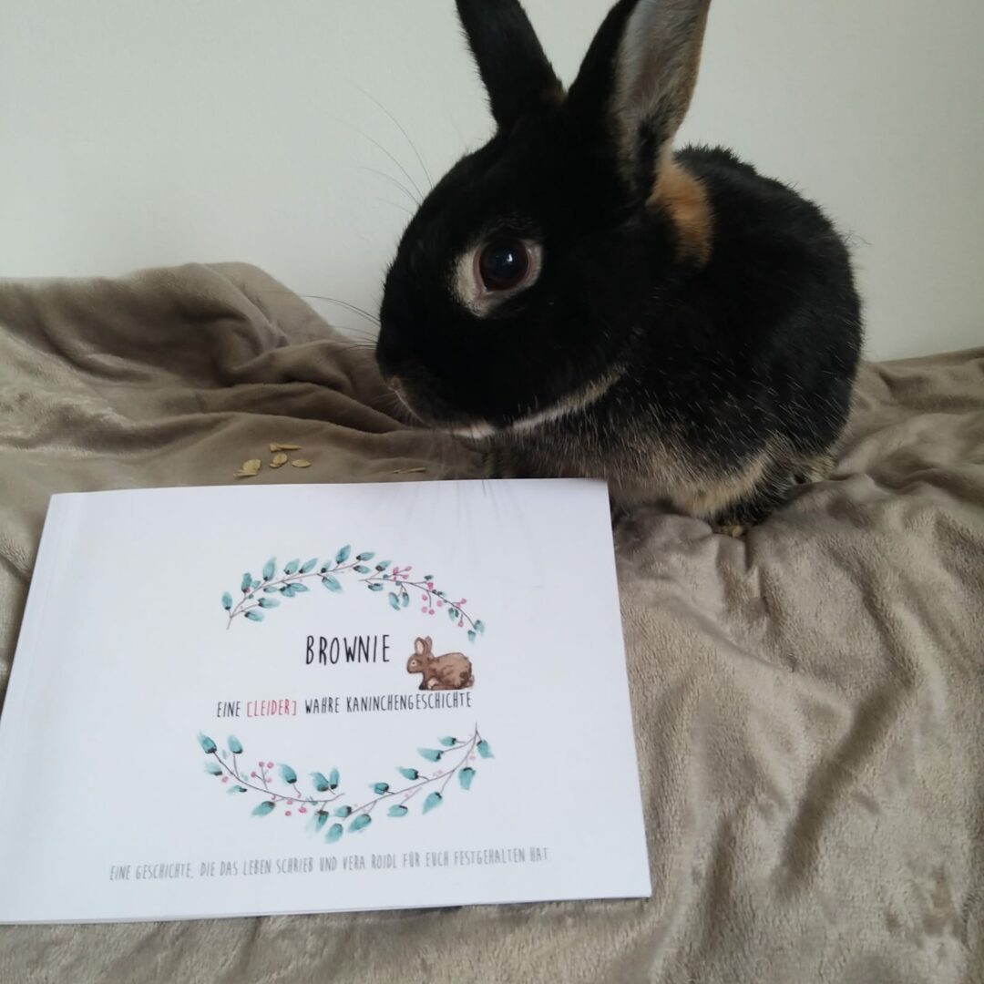 Lesestoff: Brownie- Eine (leider) wahre Kaninchengeschichte
